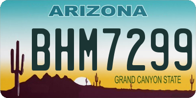 AZ license plate BHM7299