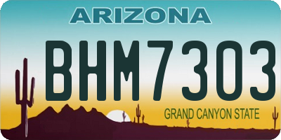 AZ license plate BHM7303