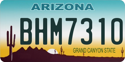 AZ license plate BHM7310