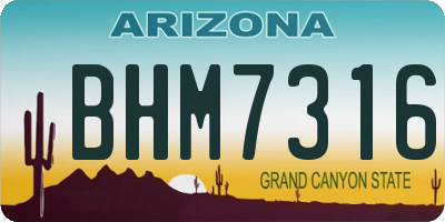 AZ license plate BHM7316