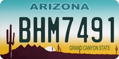 AZ license plate BHM7491