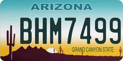 AZ license plate BHM7499