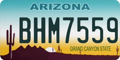 AZ license plate BHM7559
