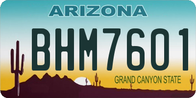 AZ license plate BHM7601
