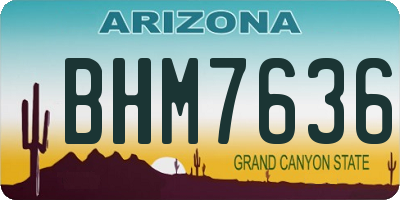 AZ license plate BHM7636