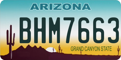 AZ license plate BHM7663