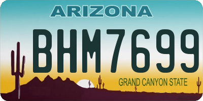 AZ license plate BHM7699