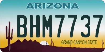 AZ license plate BHM7737
