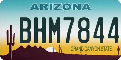 AZ license plate BHM7844