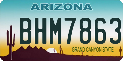 AZ license plate BHM7863