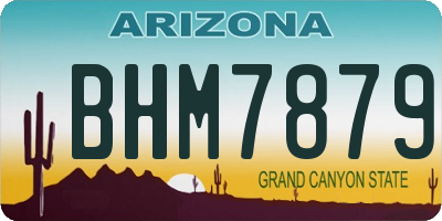 AZ license plate BHM7879