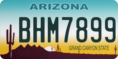AZ license plate BHM7899