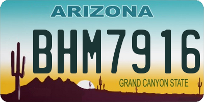 AZ license plate BHM7916
