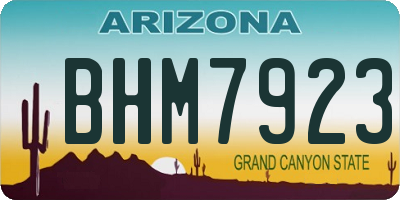 AZ license plate BHM7923