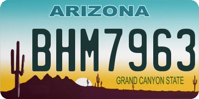 AZ license plate BHM7963