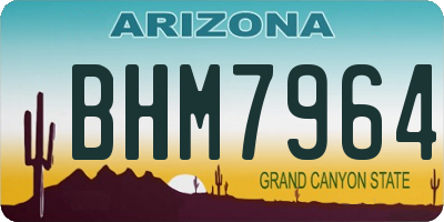 AZ license plate BHM7964
