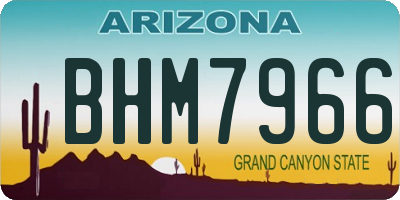 AZ license plate BHM7966