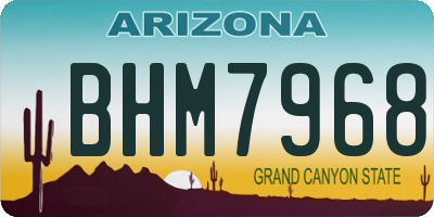 AZ license plate BHM7968