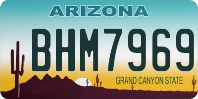 AZ license plate BHM7969