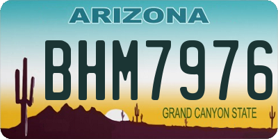 AZ license plate BHM7976