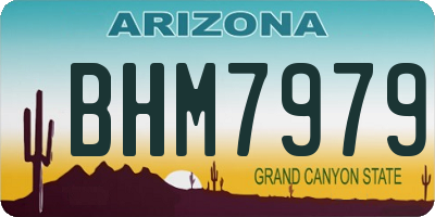 AZ license plate BHM7979