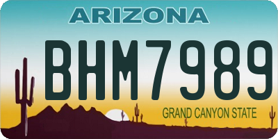 AZ license plate BHM7989