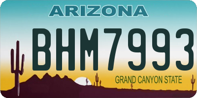 AZ license plate BHM7993