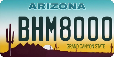 AZ license plate BHM8000