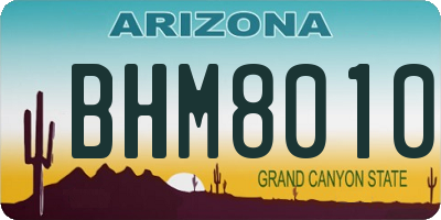AZ license plate BHM8010