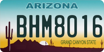 AZ license plate BHM8016