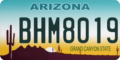 AZ license plate BHM8019
