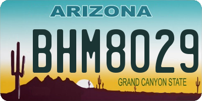 AZ license plate BHM8029