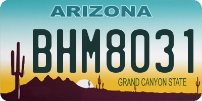 AZ license plate BHM8031
