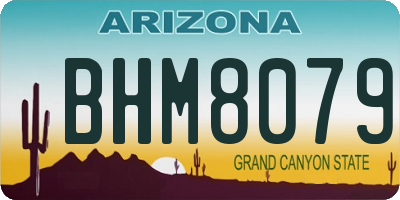 AZ license plate BHM8079