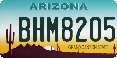 AZ license plate BHM8205