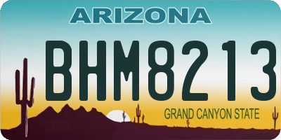 AZ license plate BHM8213
