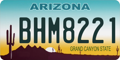 AZ license plate BHM8221