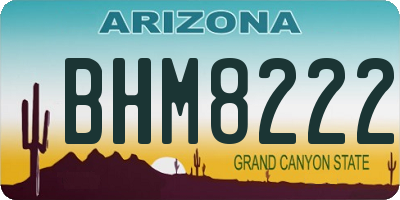 AZ license plate BHM8222