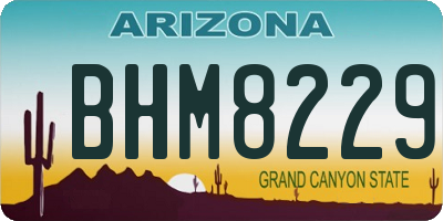AZ license plate BHM8229