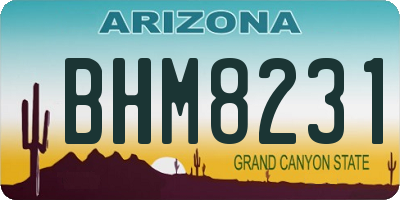 AZ license plate BHM8231