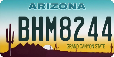 AZ license plate BHM8244