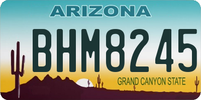 AZ license plate BHM8245