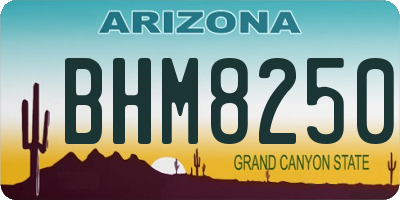 AZ license plate BHM8250