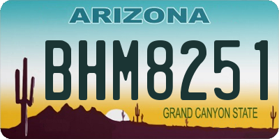 AZ license plate BHM8251