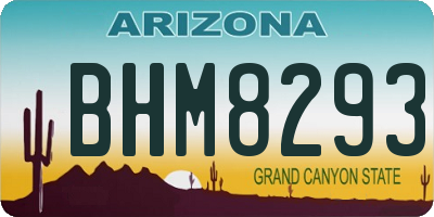 AZ license plate BHM8293