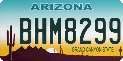 AZ license plate BHM8299