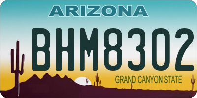 AZ license plate BHM8302