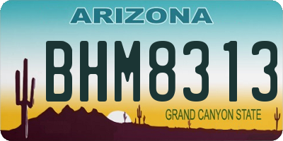 AZ license plate BHM8313