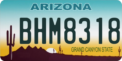 AZ license plate BHM8318
