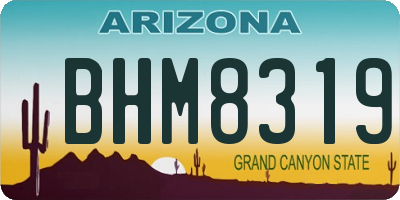 AZ license plate BHM8319